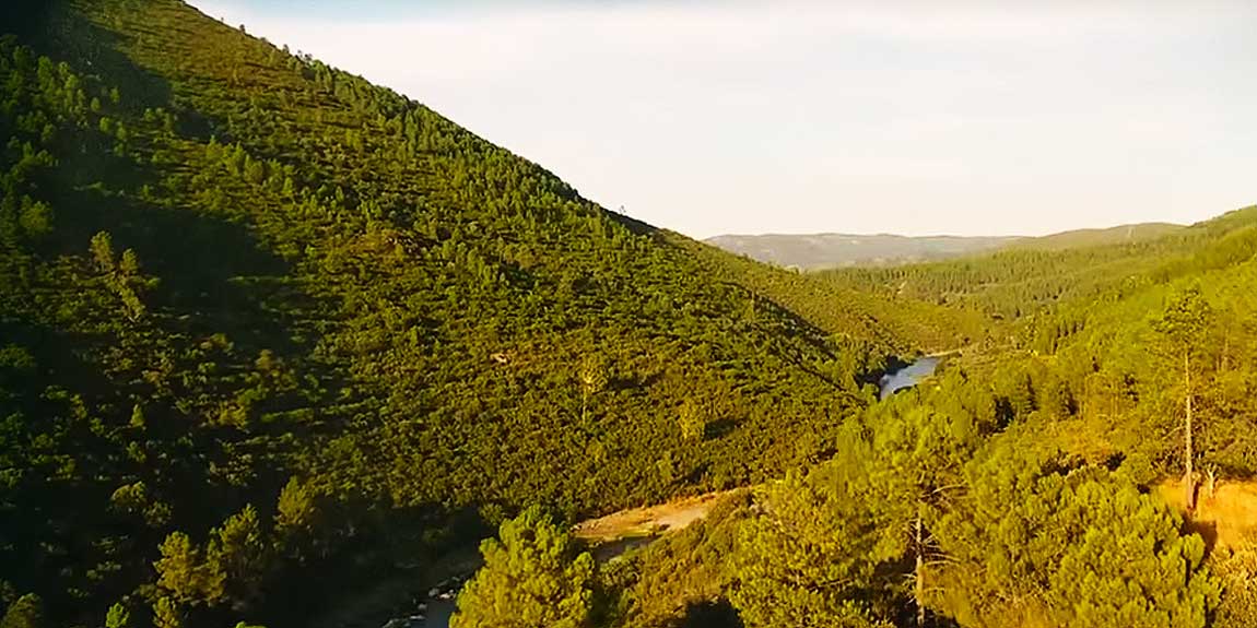 Visionarium Festival Location